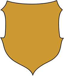 Shield 21