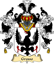Italian Family Coat of Arms (v.25a) Grosso