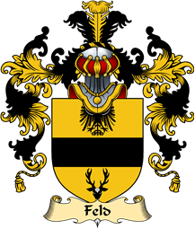 English Family Coat of Arms (v.25) Feld