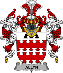 Irish Family Coat of Arms (v.25b) Allyn
