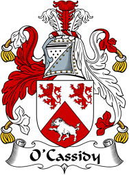 Irish Coat of Arms for O