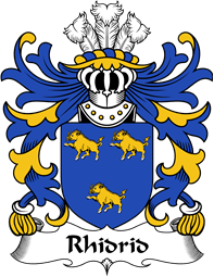 Welsh Coat of Arms for Rhidrid (AB YNYR, AP JONAS AP GRONWY)
