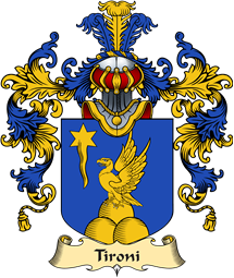 Italian Family Coat of Arms (v.25a) Tironi