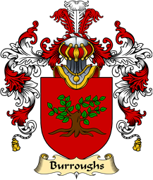 Scottish Family Coat of Arms (v.25) Burroughs