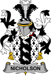 Irish Coat of Arms for Nicholson
