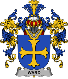 Irish Family Coat of Arms (v.25b) Ward
