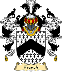Irish Family Coat of Arms (v.25a) French