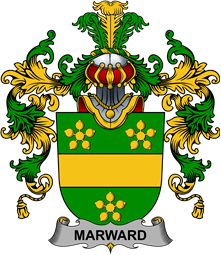 Irish Family Coat of Arms (v.25b) Marward