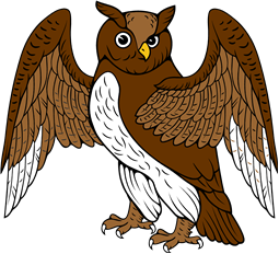 Owl Rising