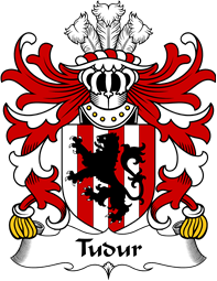 Welsh Coat of Arms for Tudur (AP GRUFFUDD FYCHAN)