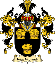 Irish Family Coat of Arms (v.25a) MacMorogh (King of Leinster)