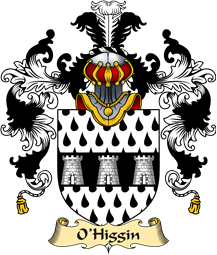Irish Family Coat of Arms (v.25a) O