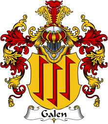 German Wappen Coat of Arms (v.25) Galen