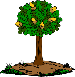 Oak Tree, Acorned on a Mound