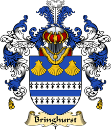 English Family Coat of Arms (v.25) Bringhurst