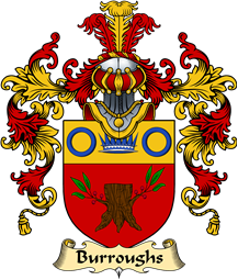 Irish Family Coat of Arms (v.25a) Burroughs