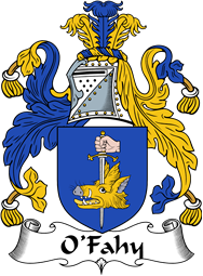 Irish Coat of Arms for O