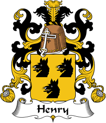 Coat of Arms from France for Henry