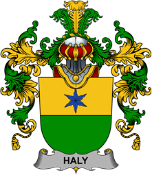 Irish Family Coat of Arms (v.25b) Haly or O