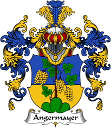 German Wappen Coat of Arms (v.25) Angermayer