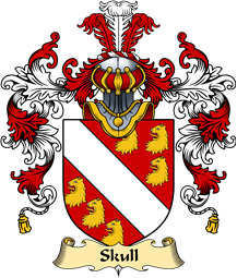 Welsh Family Coat of Arms (v.25) Skull (of Breconshire)