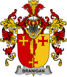 Irish Family Coat of Arms (v.25b) Branigan or O
