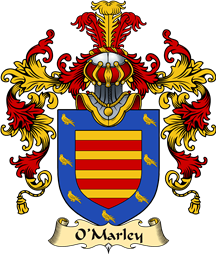 Irish Family Coat of Arms (v.25a) O