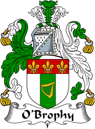 Irish Coat of Arms for O