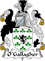 Irish Coat of Arms for O