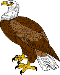 Bald Eagle (Erect)