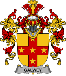 Irish Family Coat of Arms (v.25b) Galwey