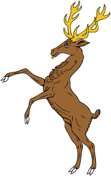 Stag Salient I