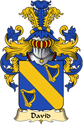 French Family Coat of Arms (v.23) for David