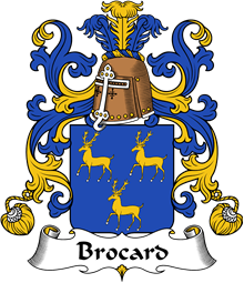 Coat of Arms from France for Brocard