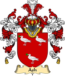 Irish Family Coat of Arms (v.25a) Ash