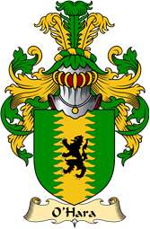 Irish Family Coat of Arms (v.23) for O