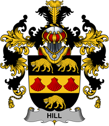 Irish Family Coat of Arms (v.25b) Hill
