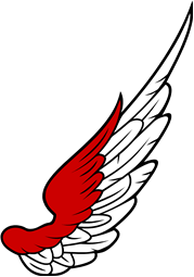 Wing 10