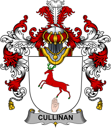 Irish Family Coat of Arms (v.25b) Cullinan or O