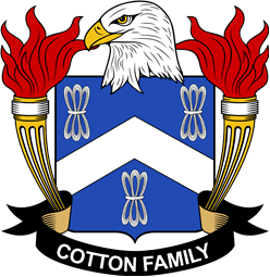 Cotton