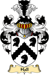 Irish Family Coat of Arms (v.23) for Hall