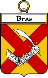 French Coat of Arms Badge for Bras