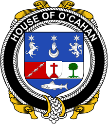 Irish Coat of Arms Badge for the O