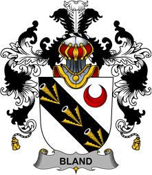 Irish Family Coat of Arms (v.25b) Bland