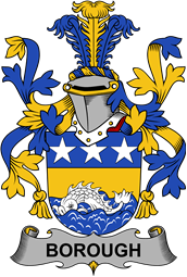 Irish Coat of Arms for Borough