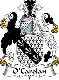 Irish Coat of Arms for O