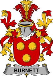 Irish Coat of Arms for Burnett