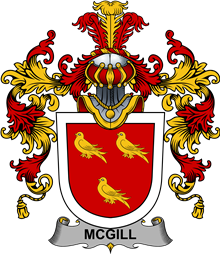 Irish Family Coat of Arms (v.25b) McGill
