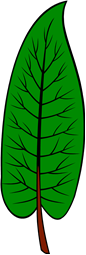 Dock-leaf