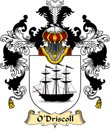 Irish Family Coat of Arms (v.25a) O